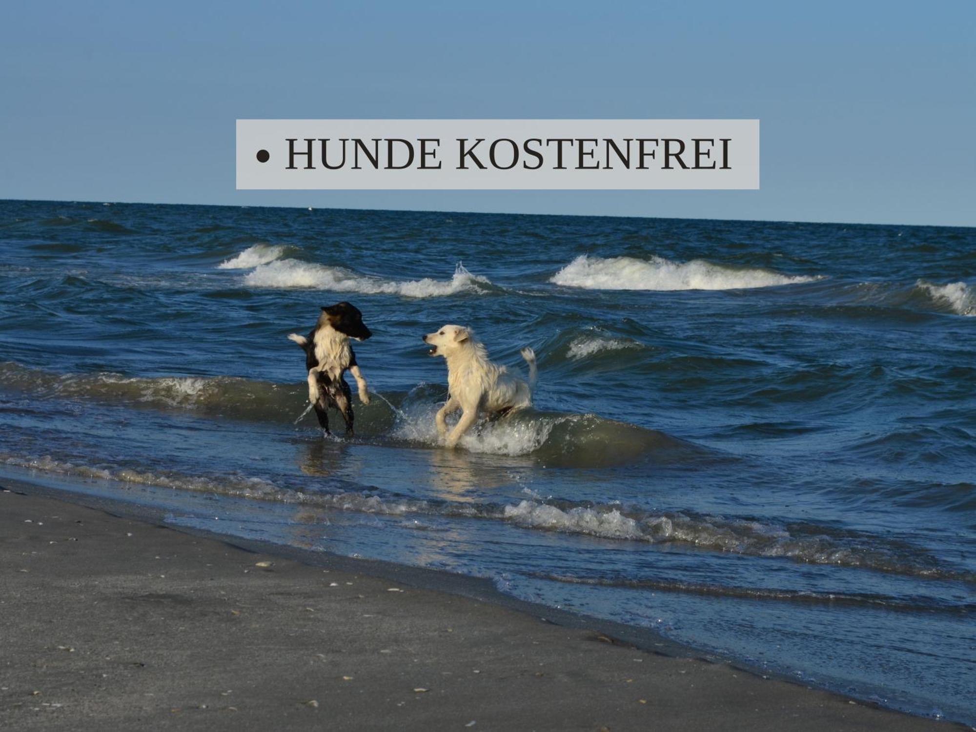 Haus Krabbe Apartments, Zentral Gelegen Im Idyllischen Nordseeort Zwischen Bremerhaven Und Cuxhaven, Hunde Kostenfrei Willkommen, Hauseigene Kostenfreie Parkplaetze Wremen Exterior photo